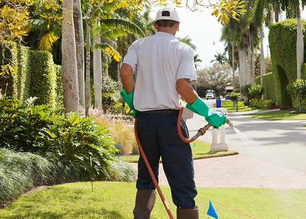 About Platte City MO Pest Control